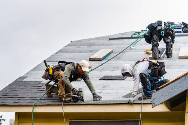 Professional Roofing technician working in Weston, OR